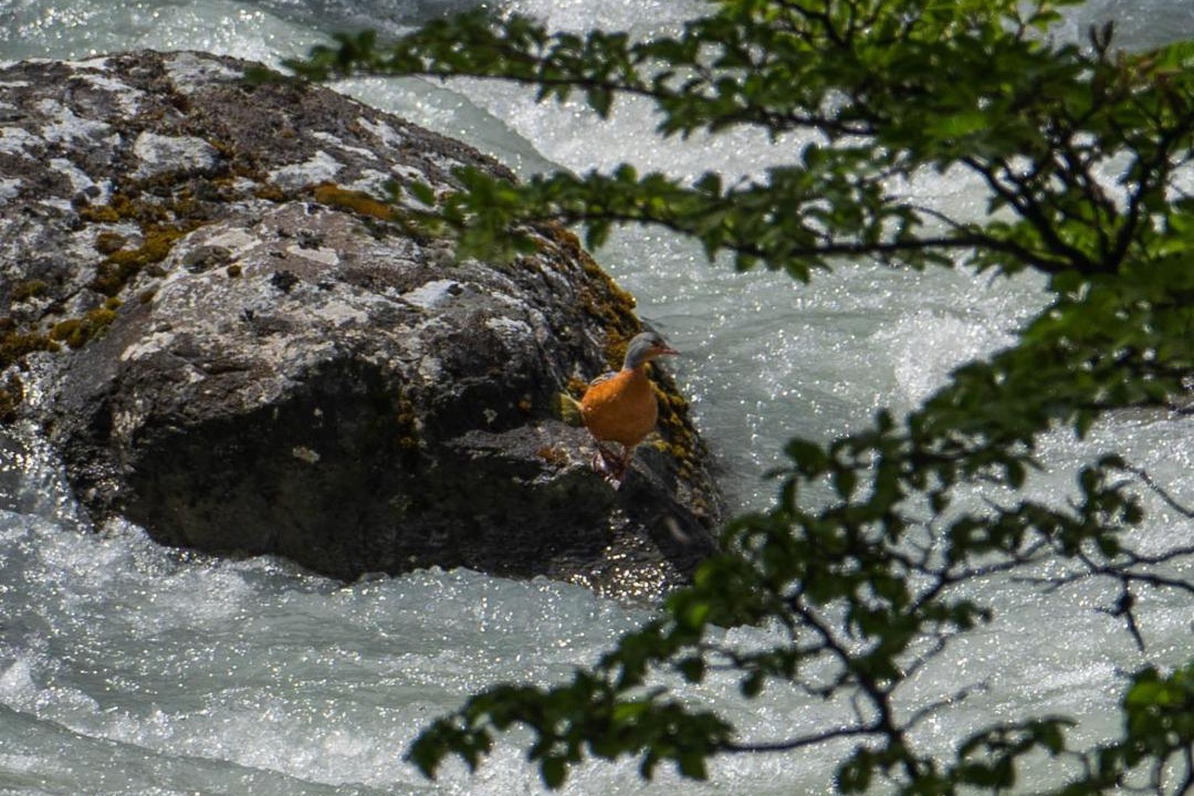 Photo of Others in El Chalten