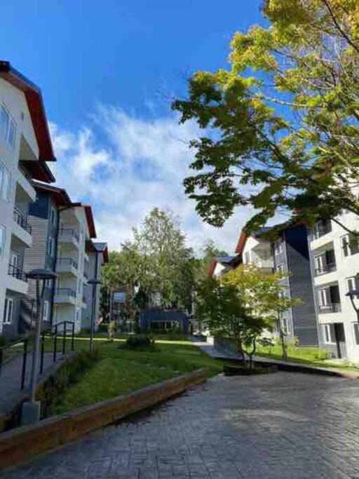 Photo of Buildings in Pucon