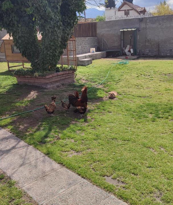 Photo of Others in Las Compuertas