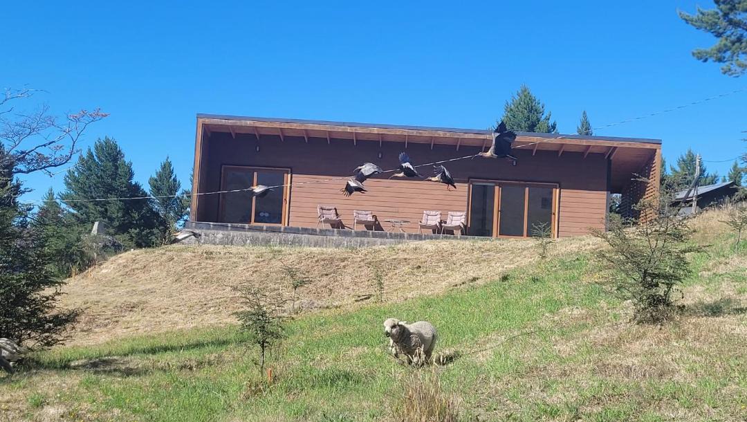 Photo of Buildings in Cochrane