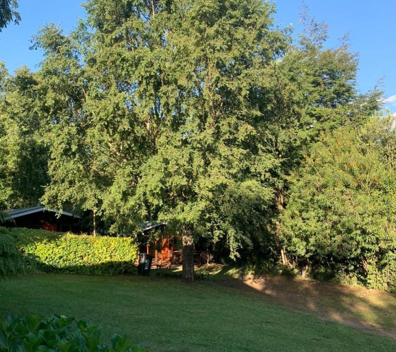 Photo of Outdoor in Lican Ray