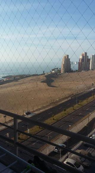 Photo of Others in Iquique