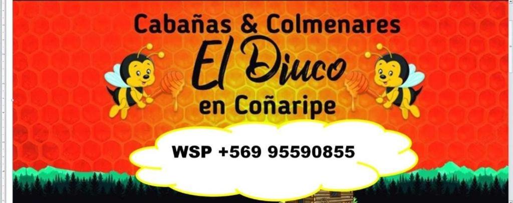 Photo of Others in Conaripe