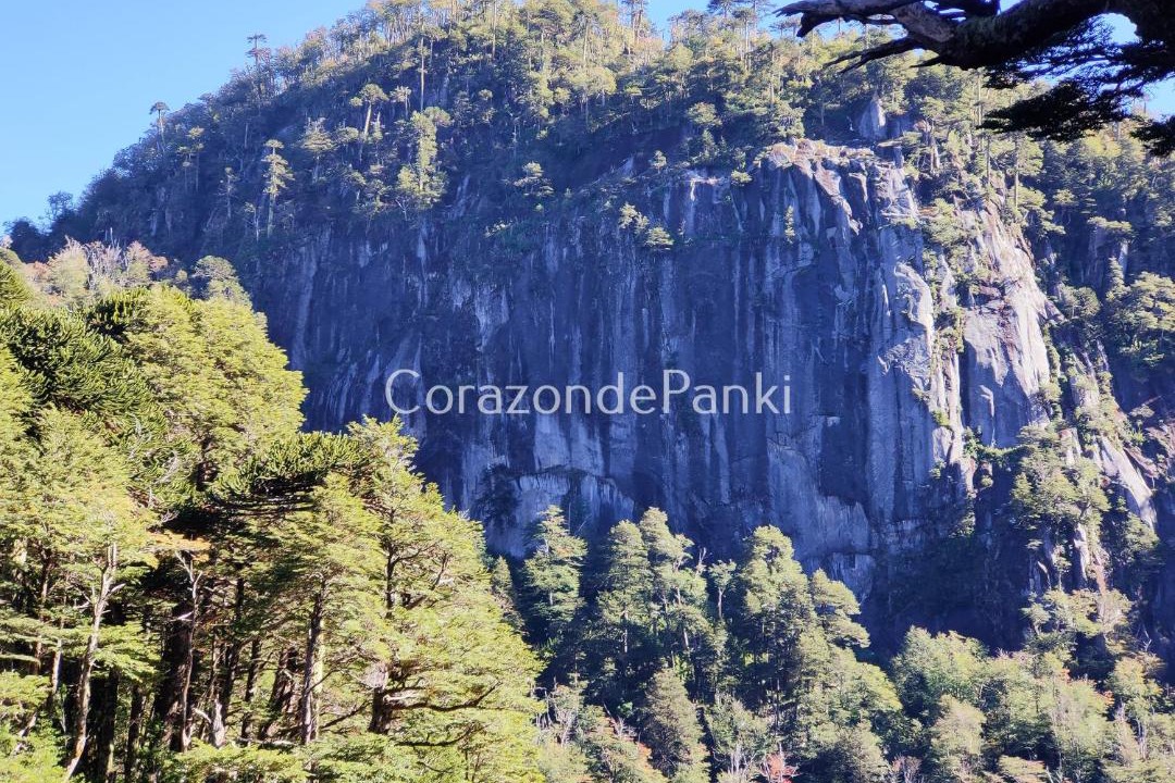 Photo of Others in Curarrehue