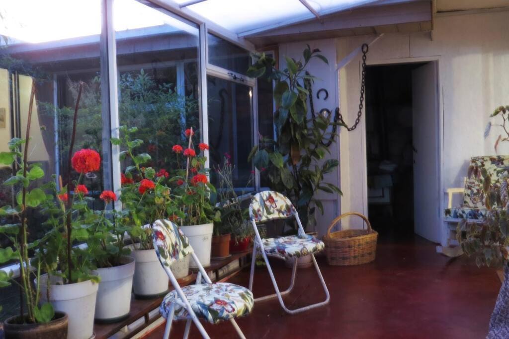 Photo of Patio Balcony in Temuco
