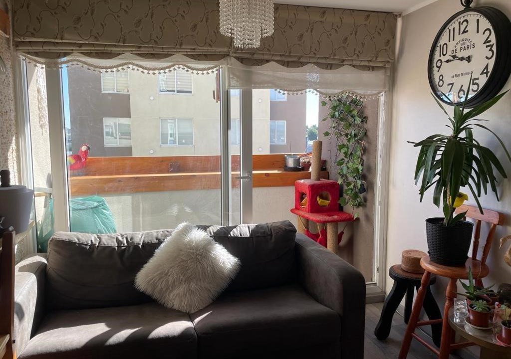 Photo of Livingroom in Osorno