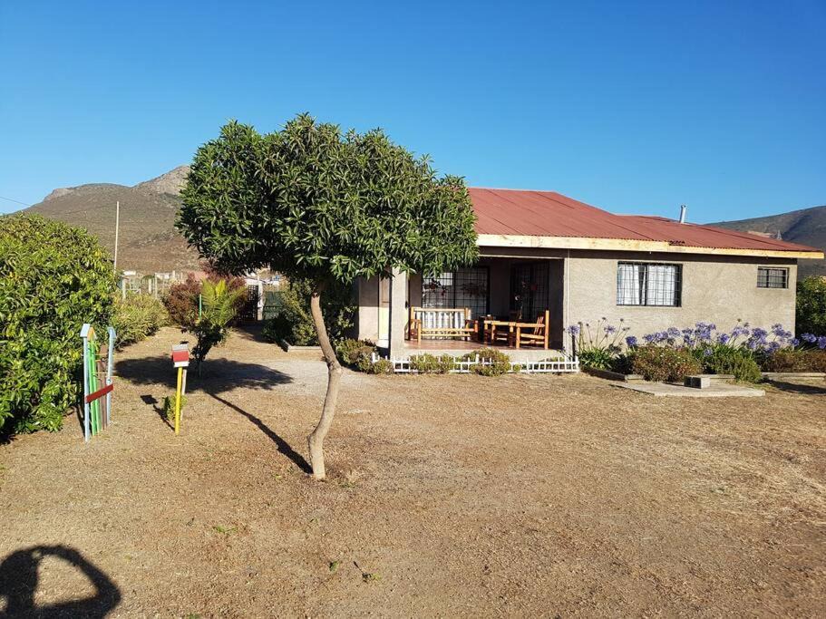 Photo of Buildings in Pichidangui