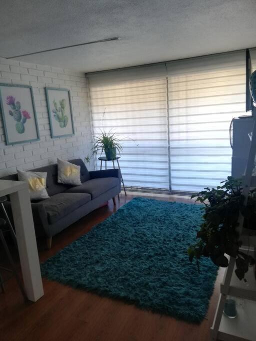 Photo of Livingroom in Barrio Italia