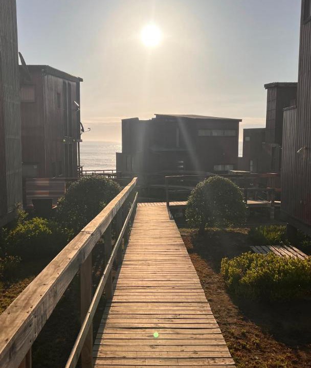 Photo of Others in Pichilemu