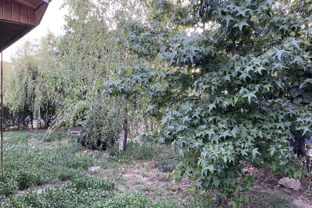Photo of Outdoor in Linares