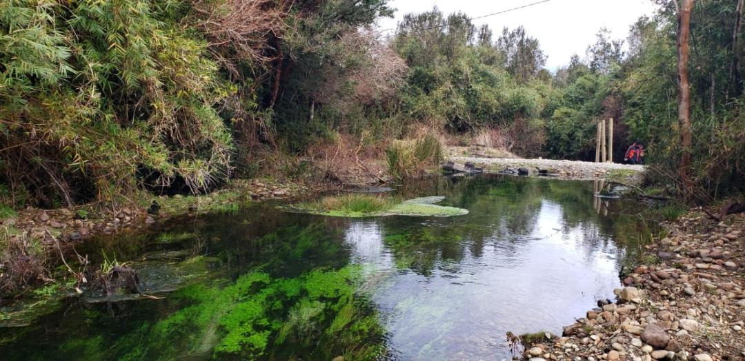 Photo of Outdoor in Hornopiren National Park