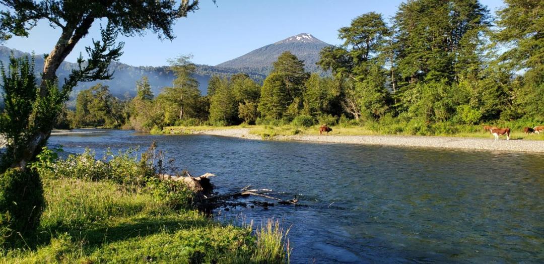 Photo of Outdoor in Hornopiren National Park