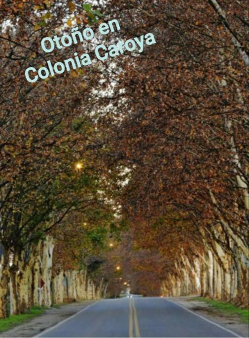 Photo of Others in Colonia Caroya