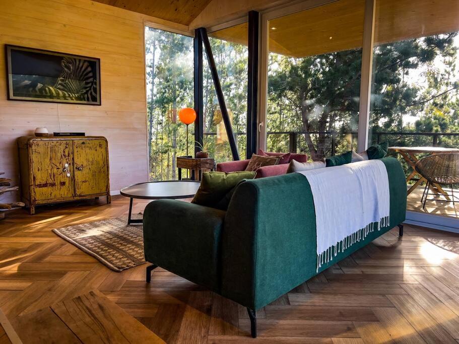 Photo of Livingroom in Pichilemu