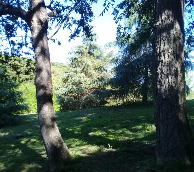 Photo of Others in La Granja