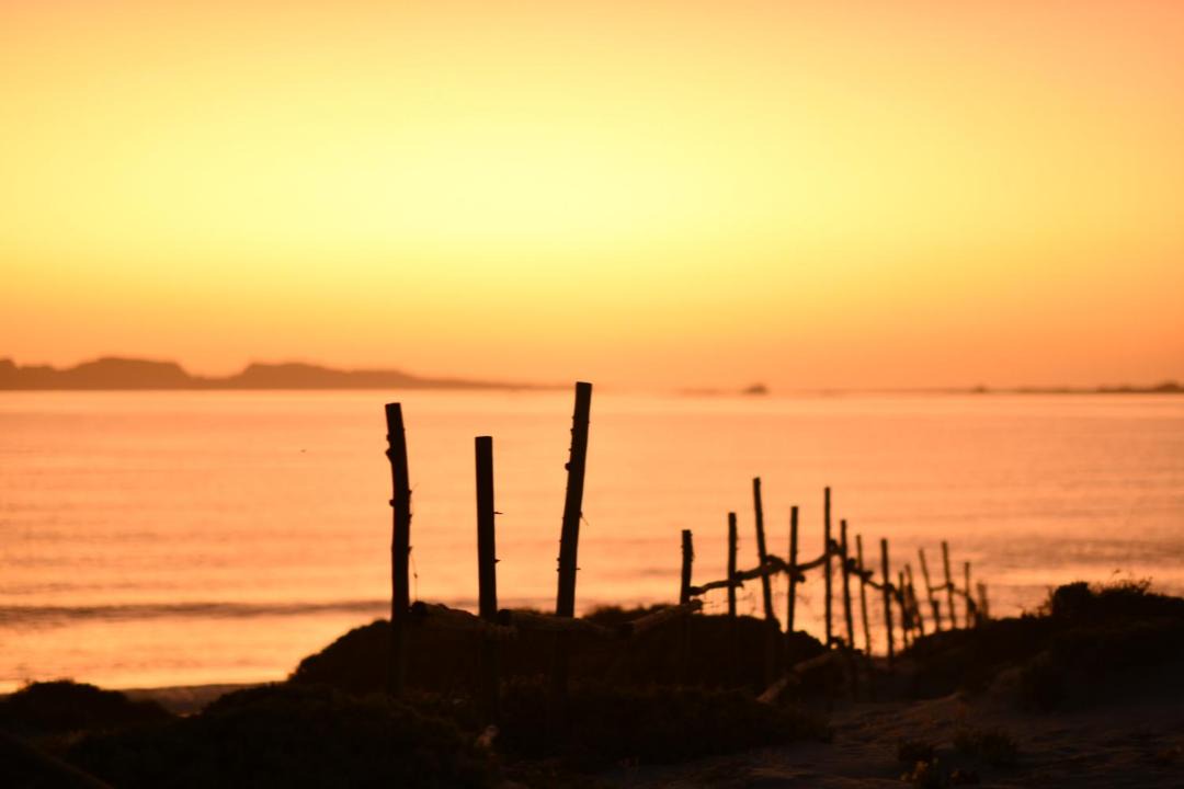 Photo of Others in Punta de Choros