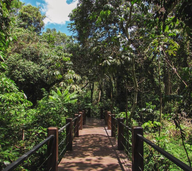 Photo of Others in Puerto Iguazu