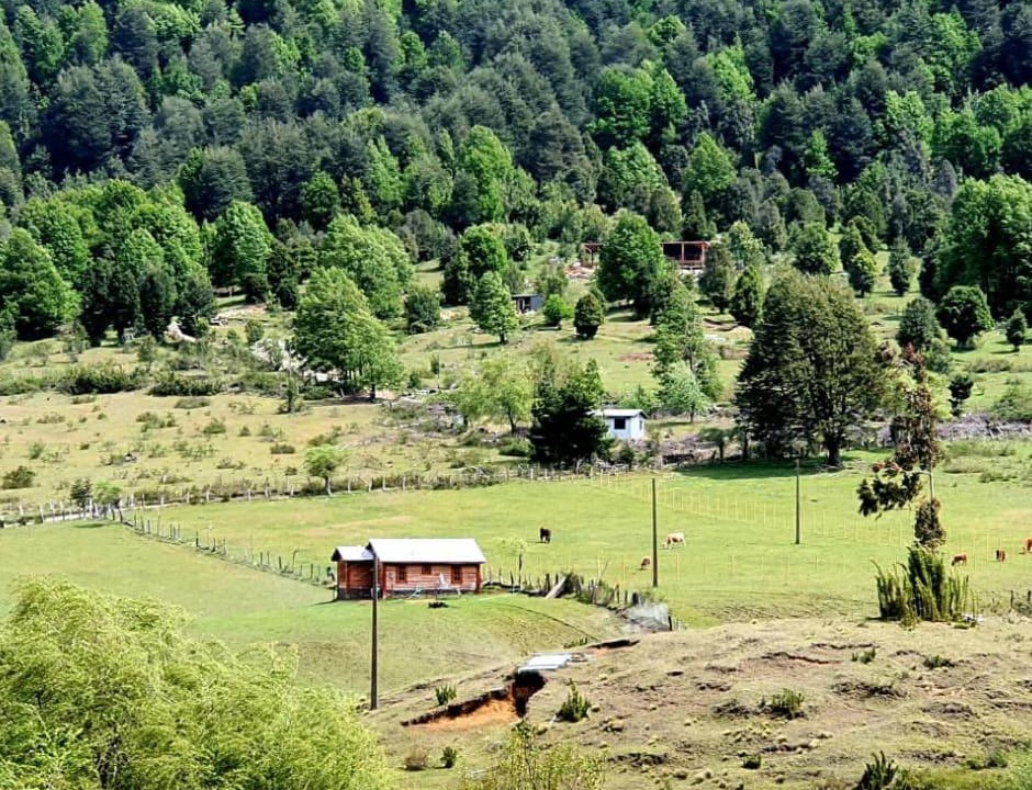 Photo of Outdoor in Curacautin