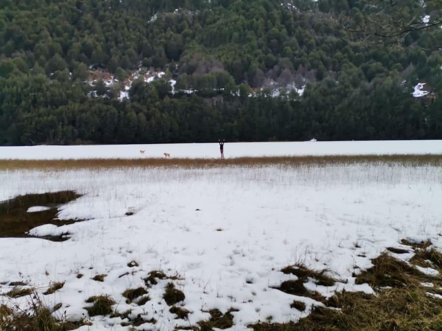 Photo of Outdoor in Coyhaique