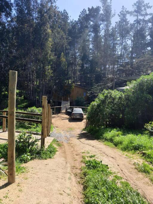 Photo of Others in Isla Negra