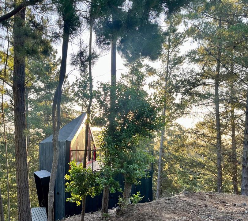 Photo of Outdoor in Navidad