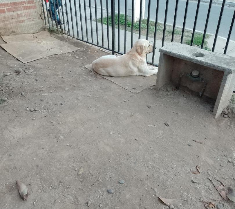 Photo of Others in Quillota