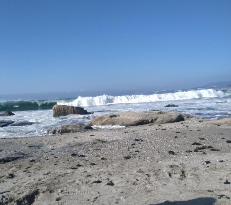 Photo of Others in Caleta Horcon