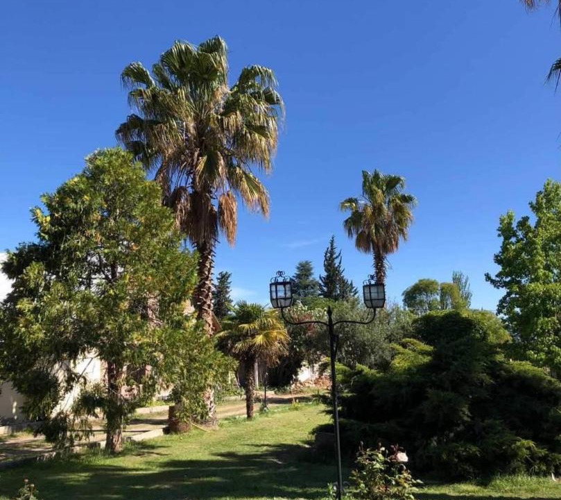 Photo of Others in Rama Caida