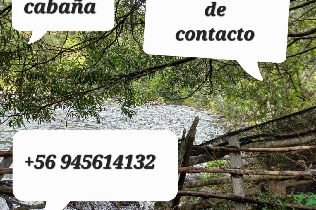 Photo of Others in Conaripe