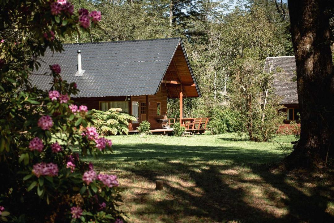 Photo of Others in Pucon