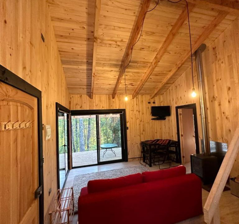 Photo of Bedroom in Curacautin