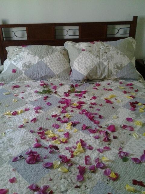 Photo of Bedroom in Rancagua