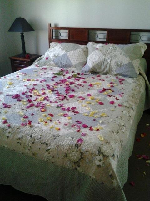 Photo of Bedroom in Rancagua