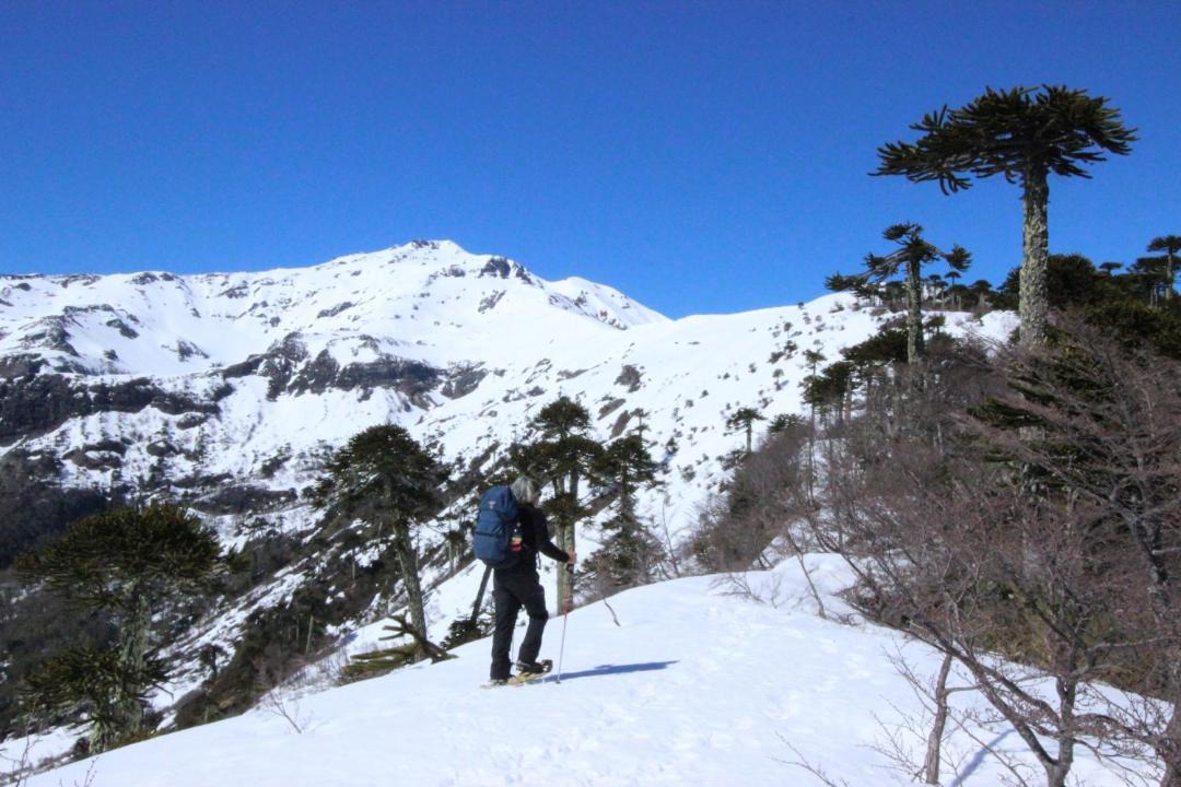 Photo of Others in Malalcahuello