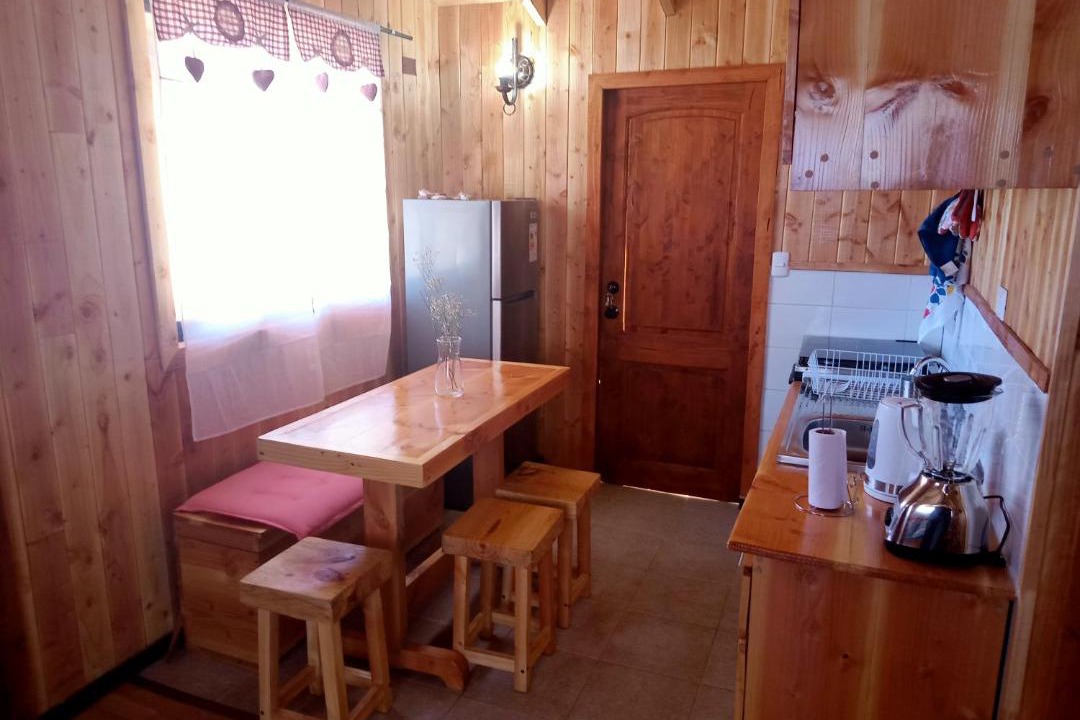 Photo of Others in Panguipulli