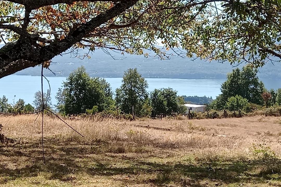 Photo of Outdoor in Panguipulli