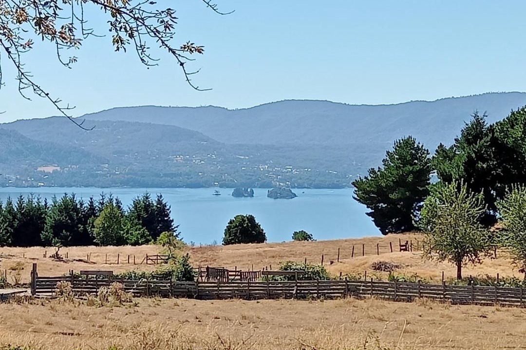 Photo of Outdoor in Panguipulli