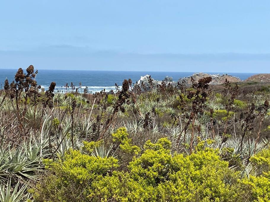 Photo of Outdoor in Los Molles
