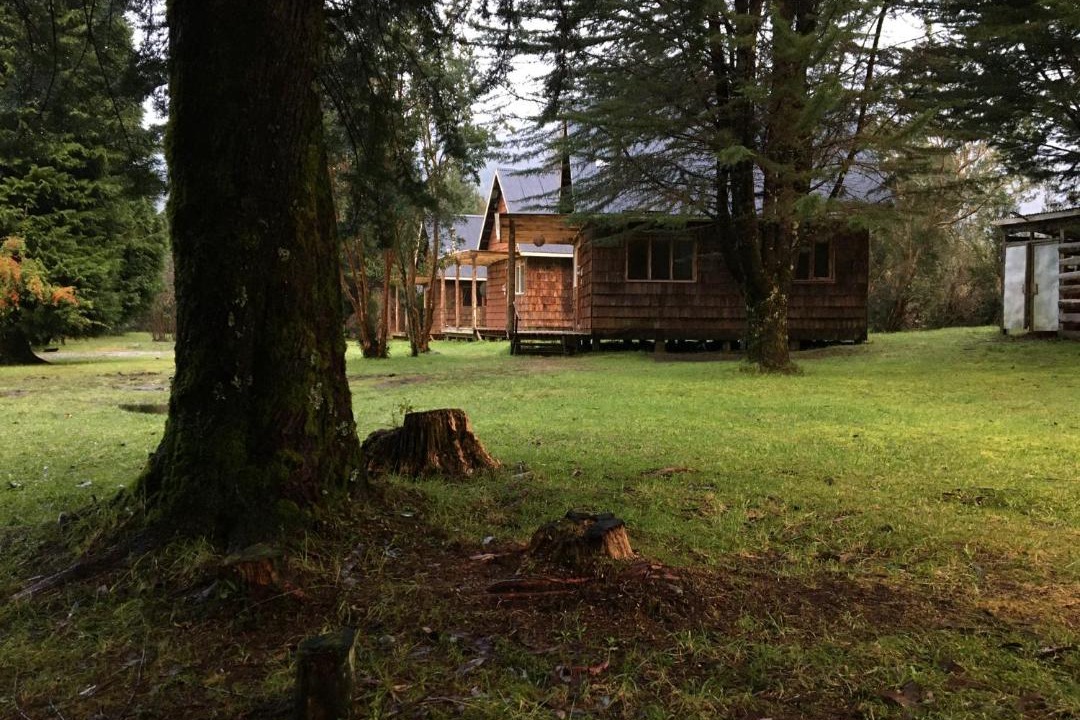 Photo of Others in Hornopiren National Park