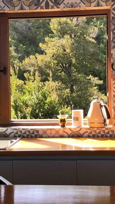 Photo of Patio Balcony in Valdivia