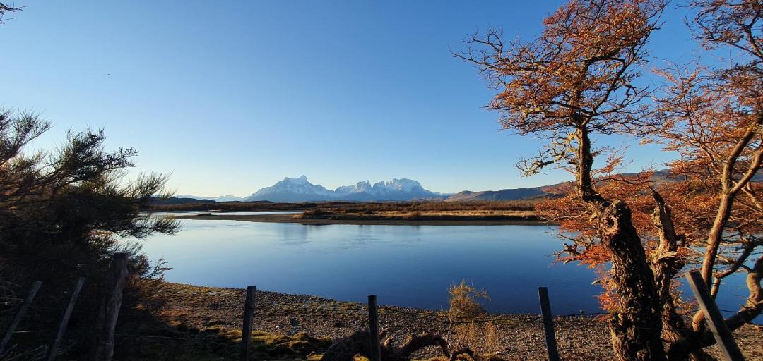 Photo of Others in Torres Del Paine