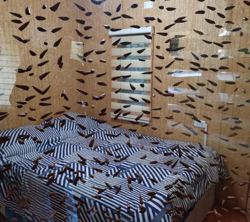 Photo of Bedroom in Los Angeles