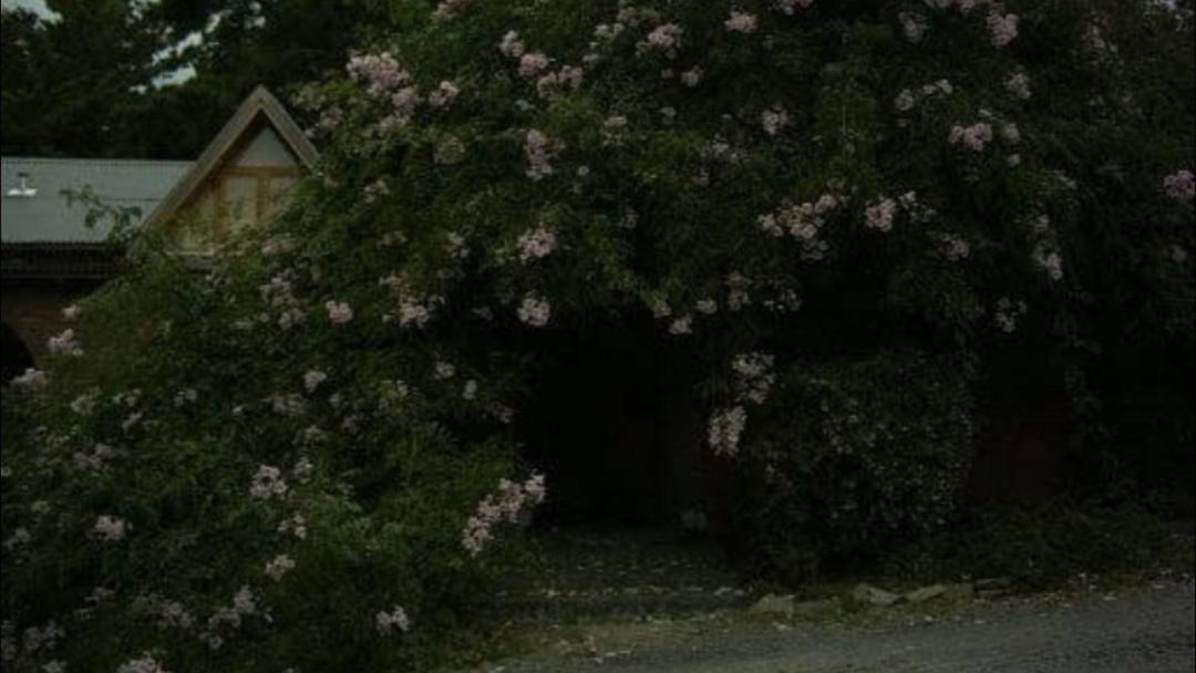 Photo of Others in Tandil