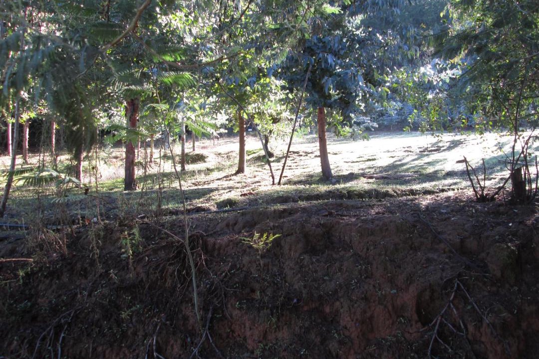 Photo of Others in Vichuquen