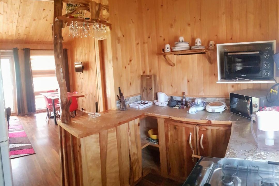 Photo of Kitchen in Melipeuco