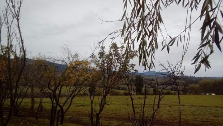 Photo of Others in Bajos de Lircay