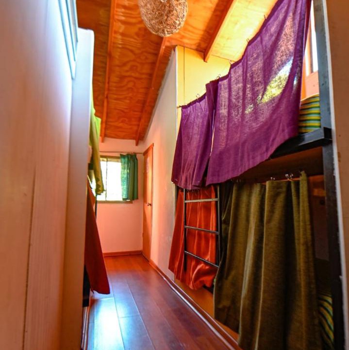 Photo of Others in Pucon