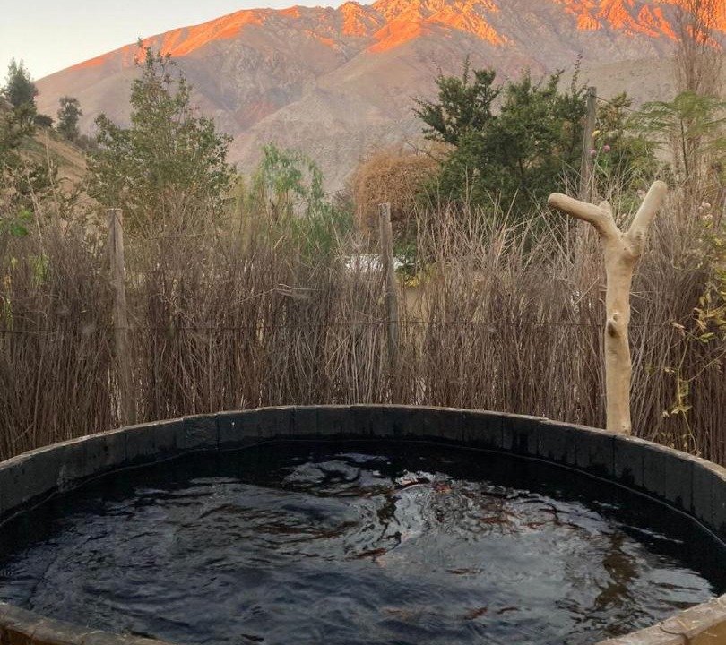 Photo of Others in Pisco Elqui