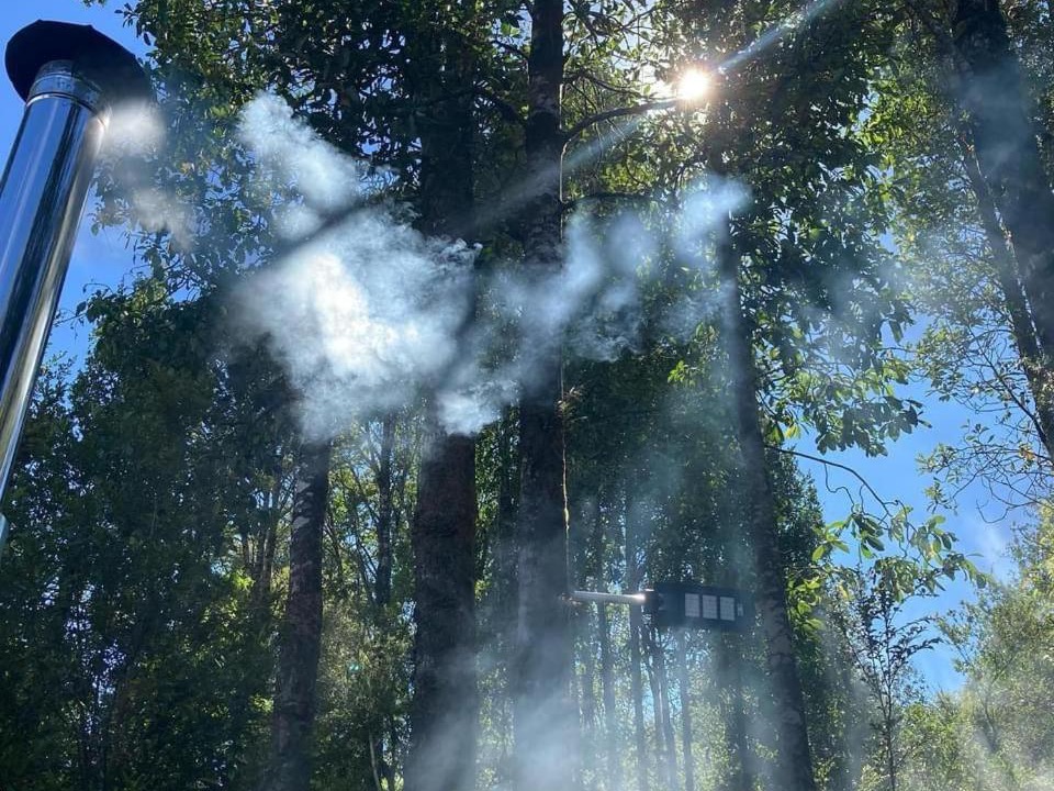 Photo of Outdoor in Hornopiren National Park
