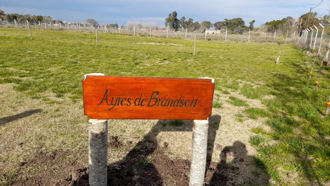 Photo of Others in Partido de Brandsen